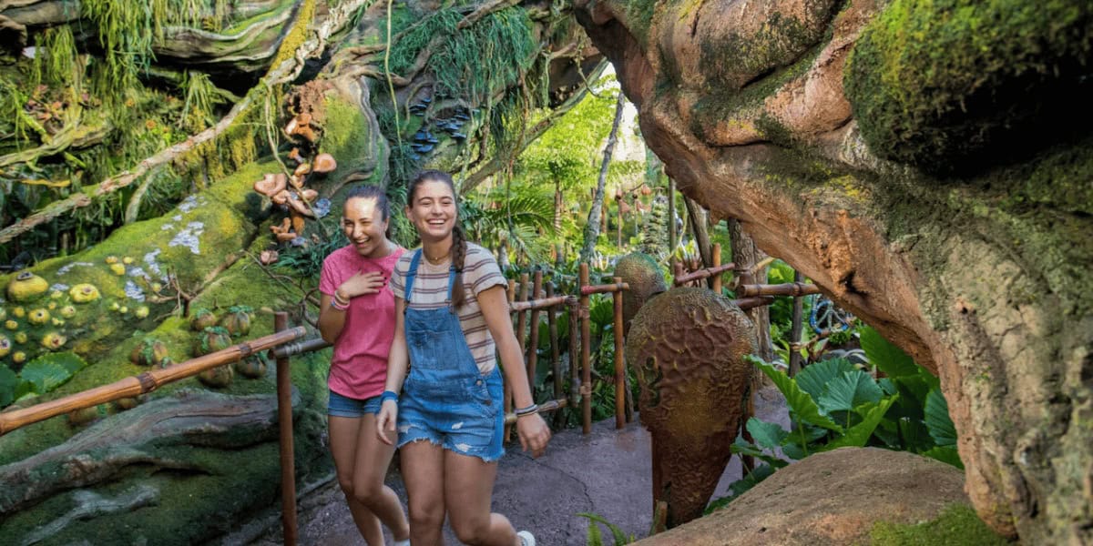 アニマル・キングダムを楽しむゲスト