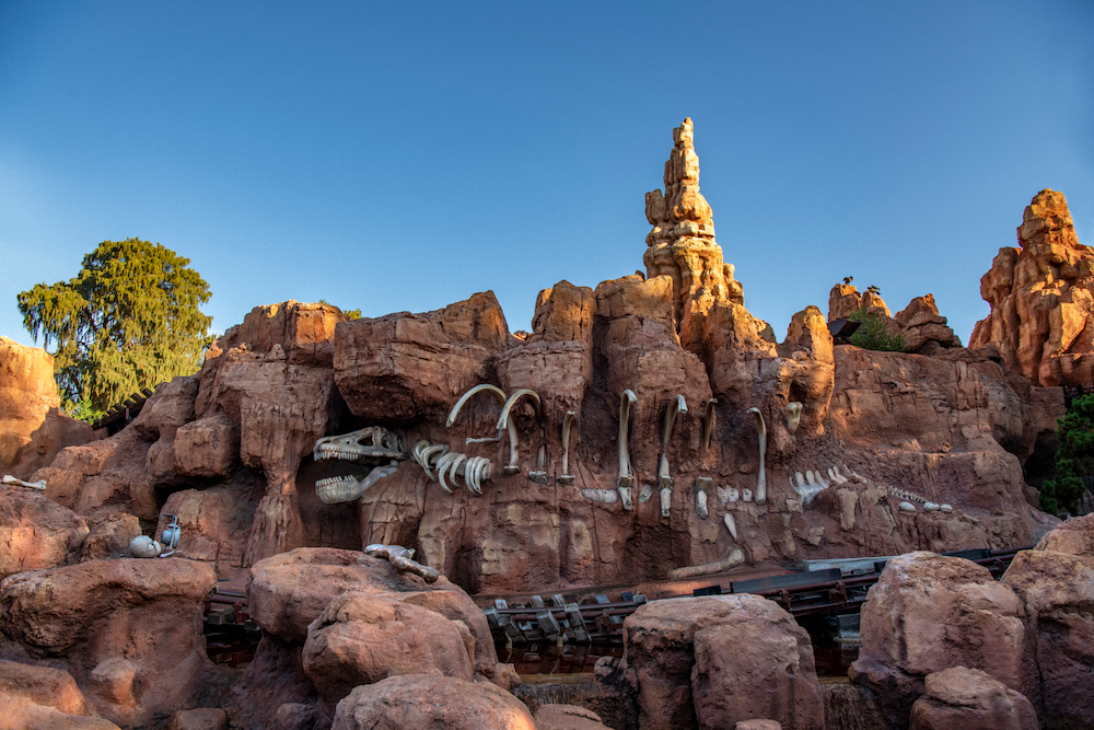 ディズニーランドのビッグサンダーマウンテンの恐竜の骨